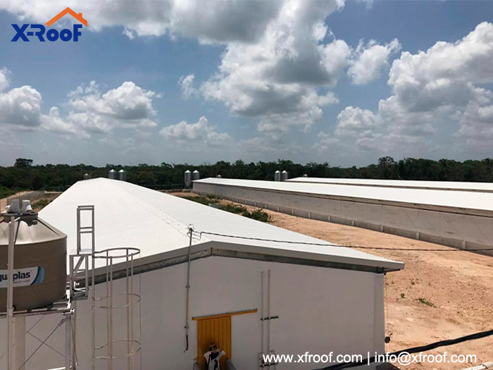 PVC-Plastic-roof-sheet.jpg