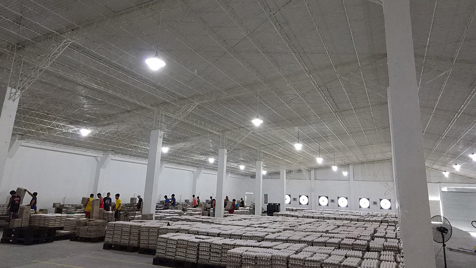 PVC-Corrugatedroofings-For-The-Poultry-House-5.jpeg
