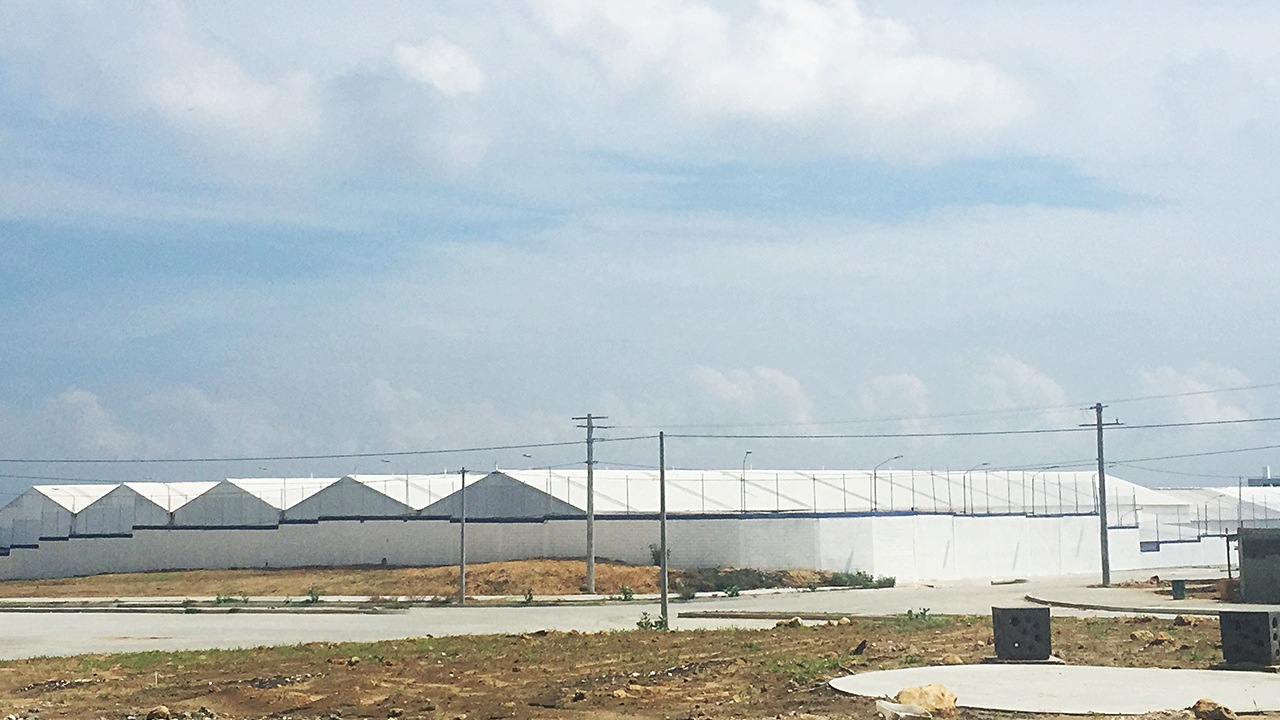PVC-Roof-Sheet-For-The-Factory-2.jpeg
